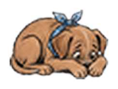 Chien_peur_GAUCHE_on