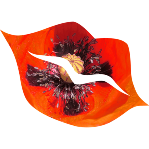 Haïku Rouge