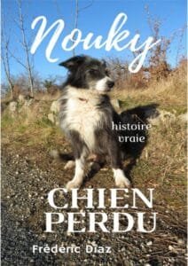Nouky chien perdu