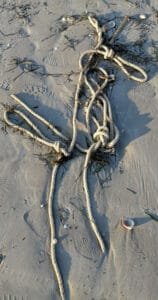 Haïku shibari