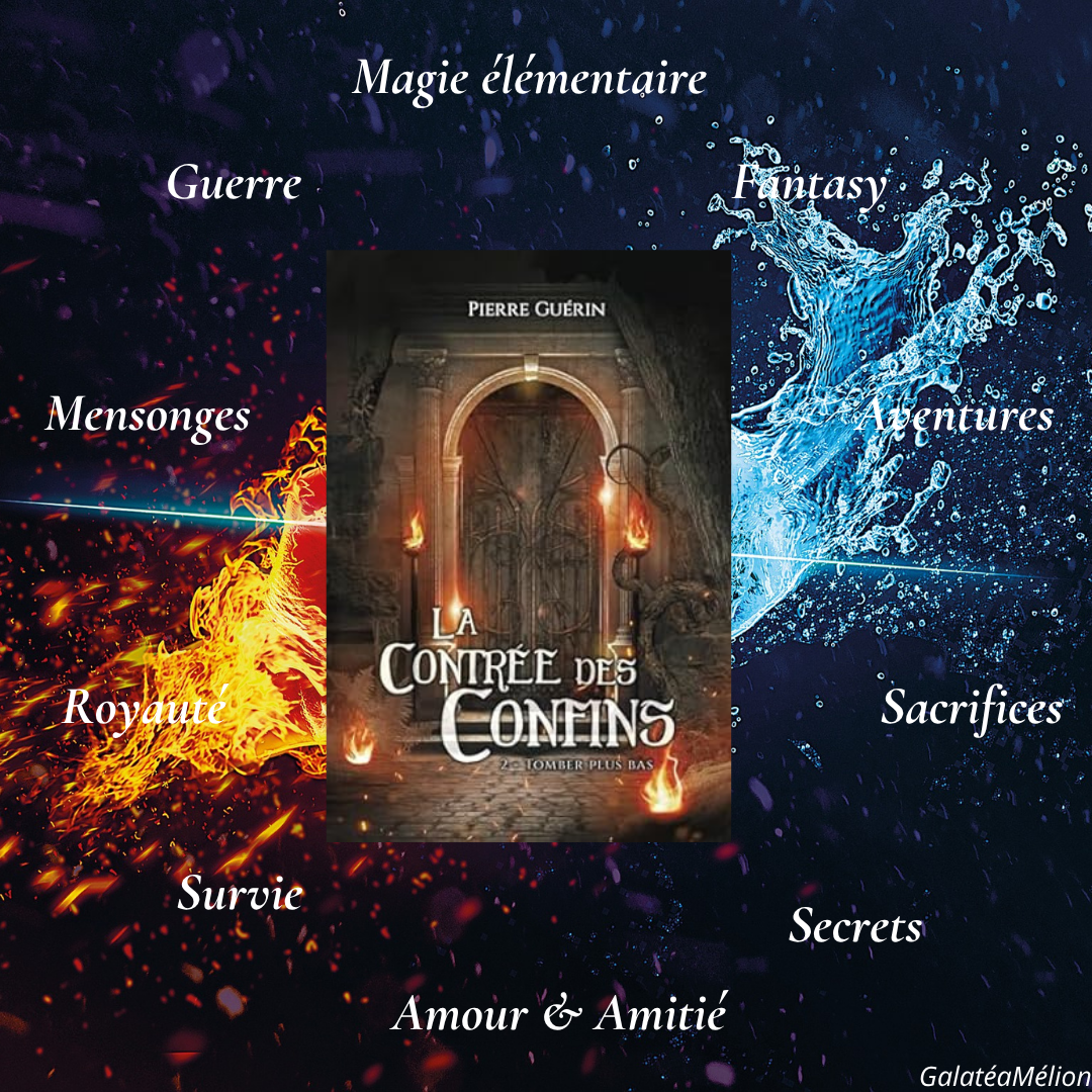 📚Avis lecture – La Contrée des Confins T2. Tomber plus bas📚